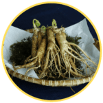 Ginseng Exaviril